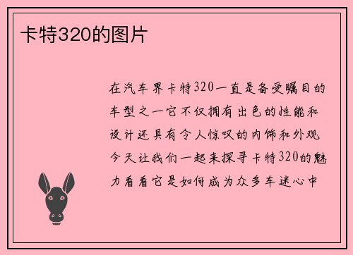 卡特320的图片