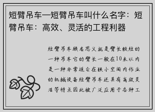 短臂吊车—短臂吊车叫什么名字：短臂吊车：高效、灵活的工程利器